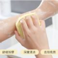 ច្រាសដុសខ្លួន - Shower Brush - Image 9