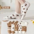 ស្រោមជើងនារី - Women Socks 5 Pairs