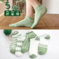 ស្រោមជើងកខ្លី - Women Socks 5 Pairs