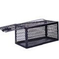 អង្គប់កណ្តុរ - mouse trap - Image 2