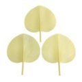 ផ្លិត - Hand Fan - Image 3