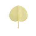 ផ្លិត - Hand Fan