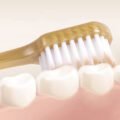 ច្រាសដុសធ្មេញ - 6pcs Toothbrush - Image 3
