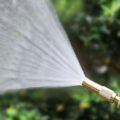 ទុយយោក្បាលស្ពាន់ - Image 4
