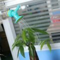 ជ័រស្រោចផ្កា - 2pcs Plant Water Sprinkler - Image 3