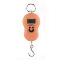 ជញ្ជីង - Digital Scale - Image 5