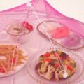 ប្រដាប់គ្របម្ហូប _ 1pc Foldable Food Cover - Image 4