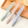 កូនកាំបិត - Fruit Knife - Image 5