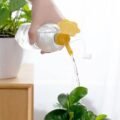 ជ័រស្រោចផ្កា - 2pcs Plant Water Sprinkler - Image 7