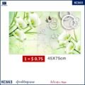 ទីកគ័របិទផ្ទះបាយ - Kitchen Oil-Proof Wall Sticker