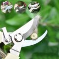 កន្ត្រៃកាត់មែកឈេី - Pruning Garden Scissors - Image 7