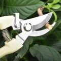 កន្ត្រៃកាត់មែកឈេី - Pruning Garden Scissors - Image 3