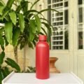 ដបទឹក - Water Bottle - Image 5