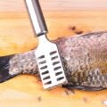 កាំបិត​កោសស្រកាត្រី - Fish Scraper