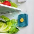 ប្រដាប់ស្រូបក្លិន - Refrigerator Air Freshener